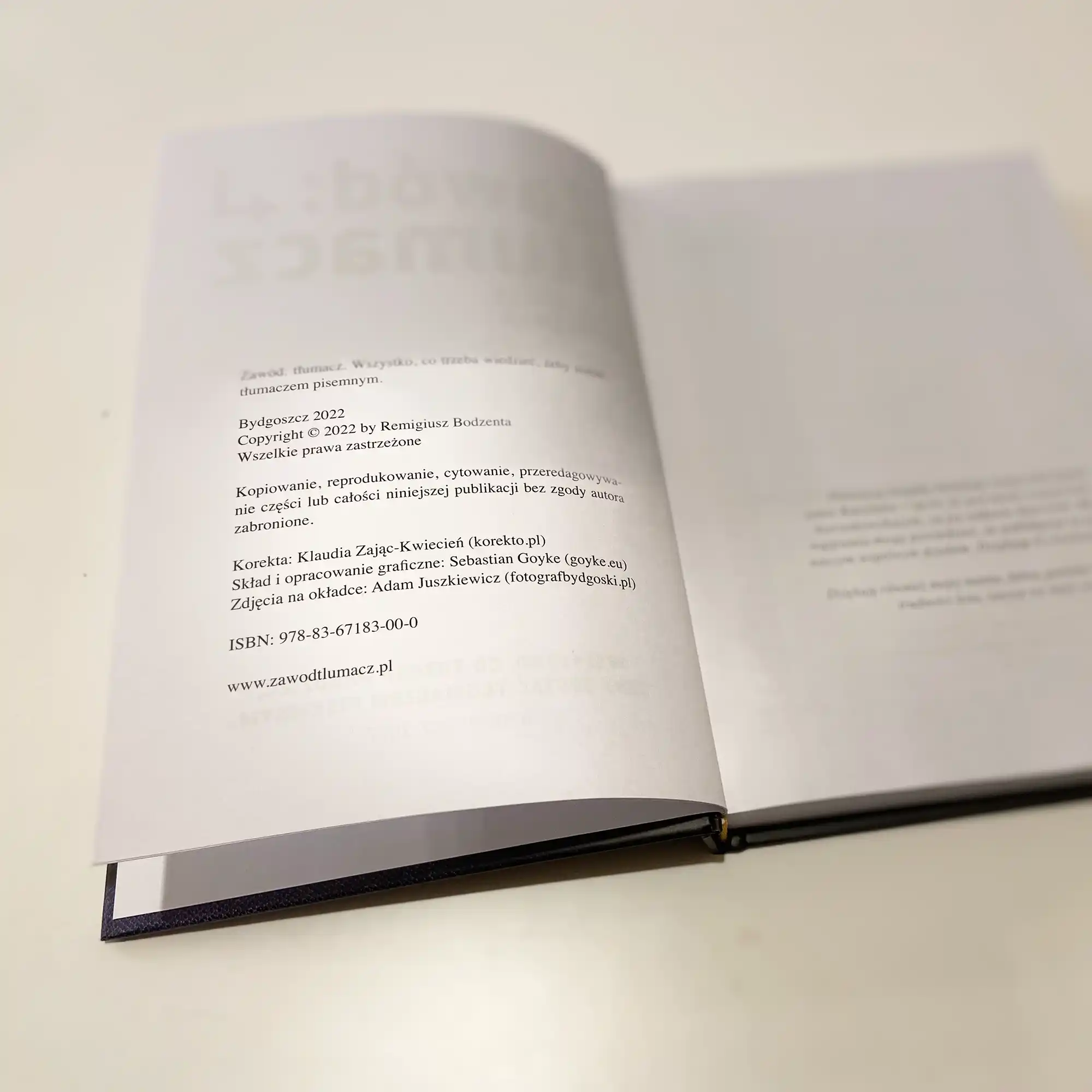 Zawód: Tłumacz – kompleksowy skład publikacji oraz projekt landing page sprzedażowego 4 Zawód: Tłumacz