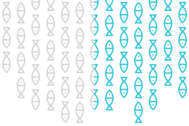 Makrela.com – kompleksowy branding i wdrożenie nowoczesnej platformy e-commerce 4 Makrela.com – kompleksowy branding i wdrożenie nowoczesnej platformy e-commerce