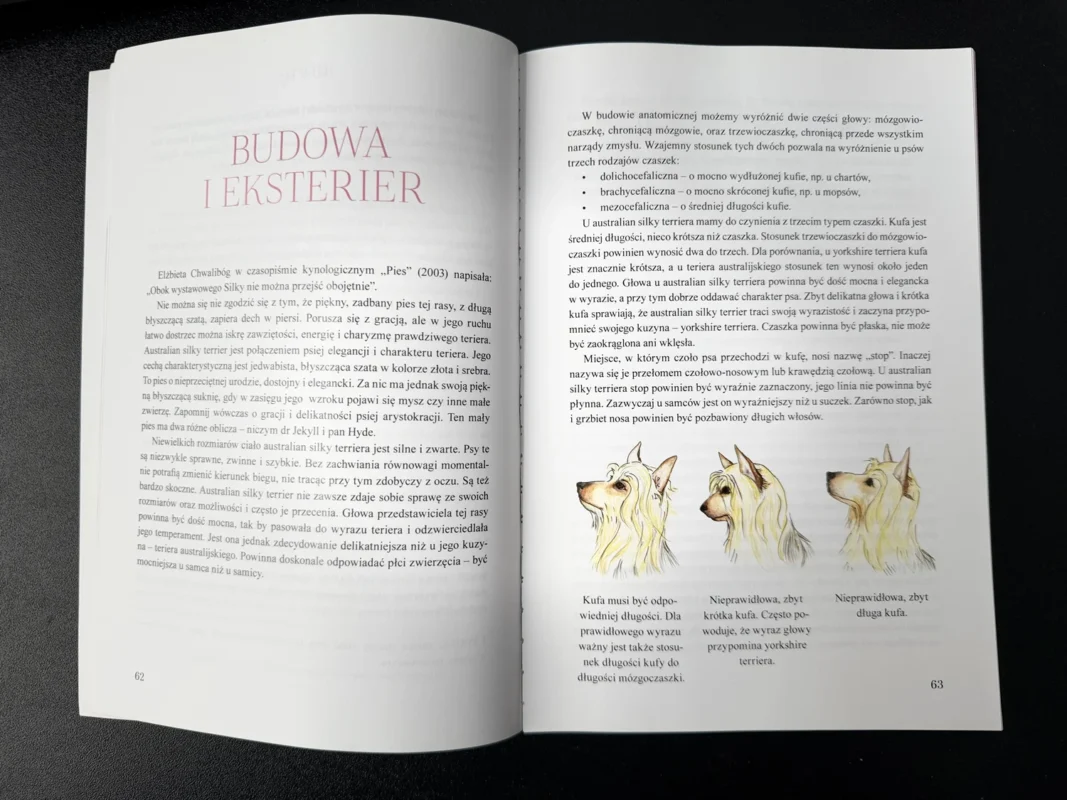 Monografia rasy Australian Silky Terrier – projekt okładki oraz skład i łamanie publikacji 3 Monografia rasy Australian Silky Terrier – projekt okładki oraz skład i łamanie publikacji